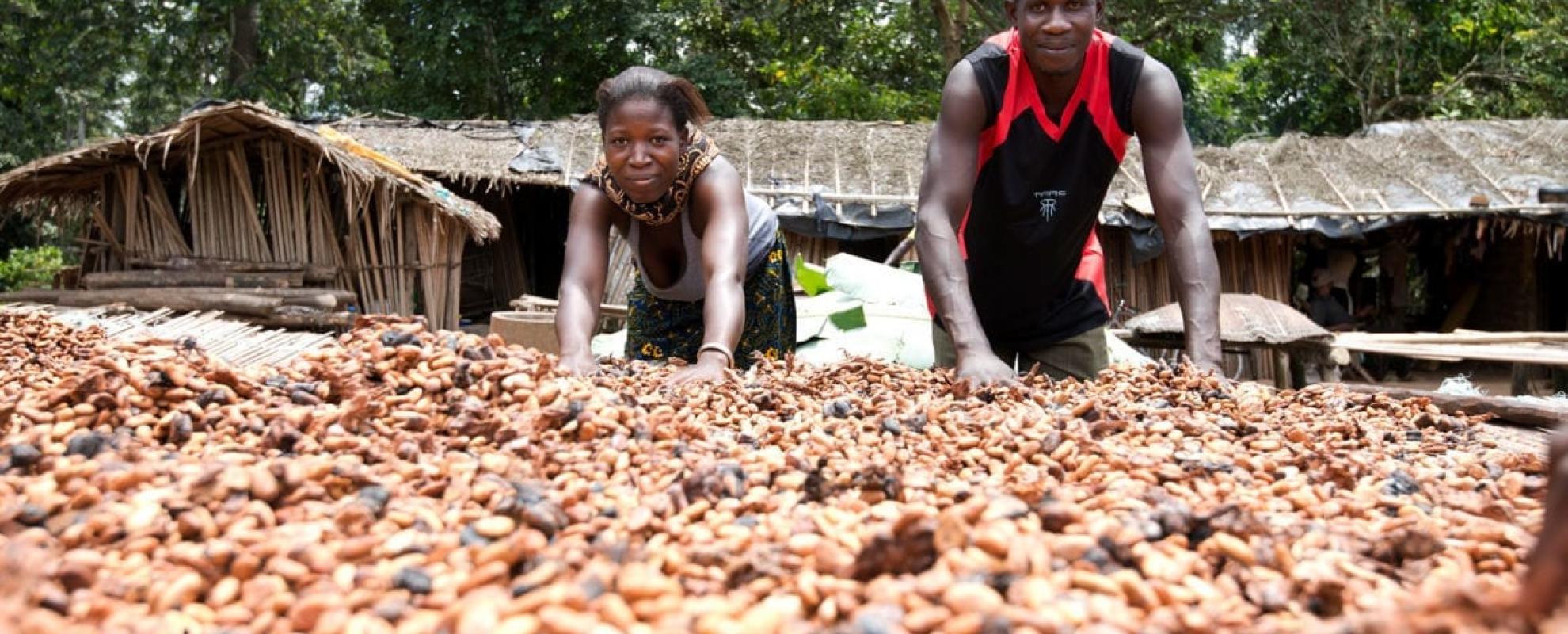 'Bite to Fight'-repen helpen cacaoboeren aan een leefbaar inkomen