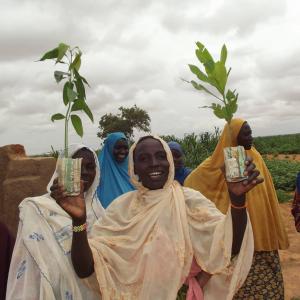 Proeftuinen voor weerbare boeren in de Sahel