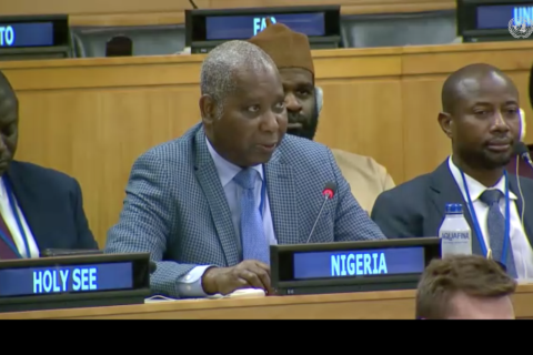 Nigeria resolution UN Tax convention
