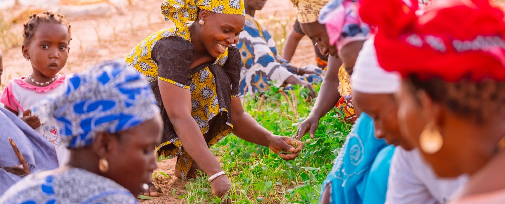 Vrouwen in Senegal aan het werk op het veld